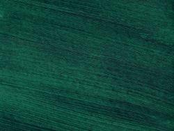 Le vert du tarot de Nicolas Conver